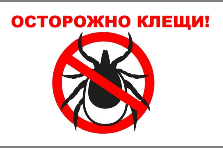 Клещевой энцефалит: профилактика превыше всего.